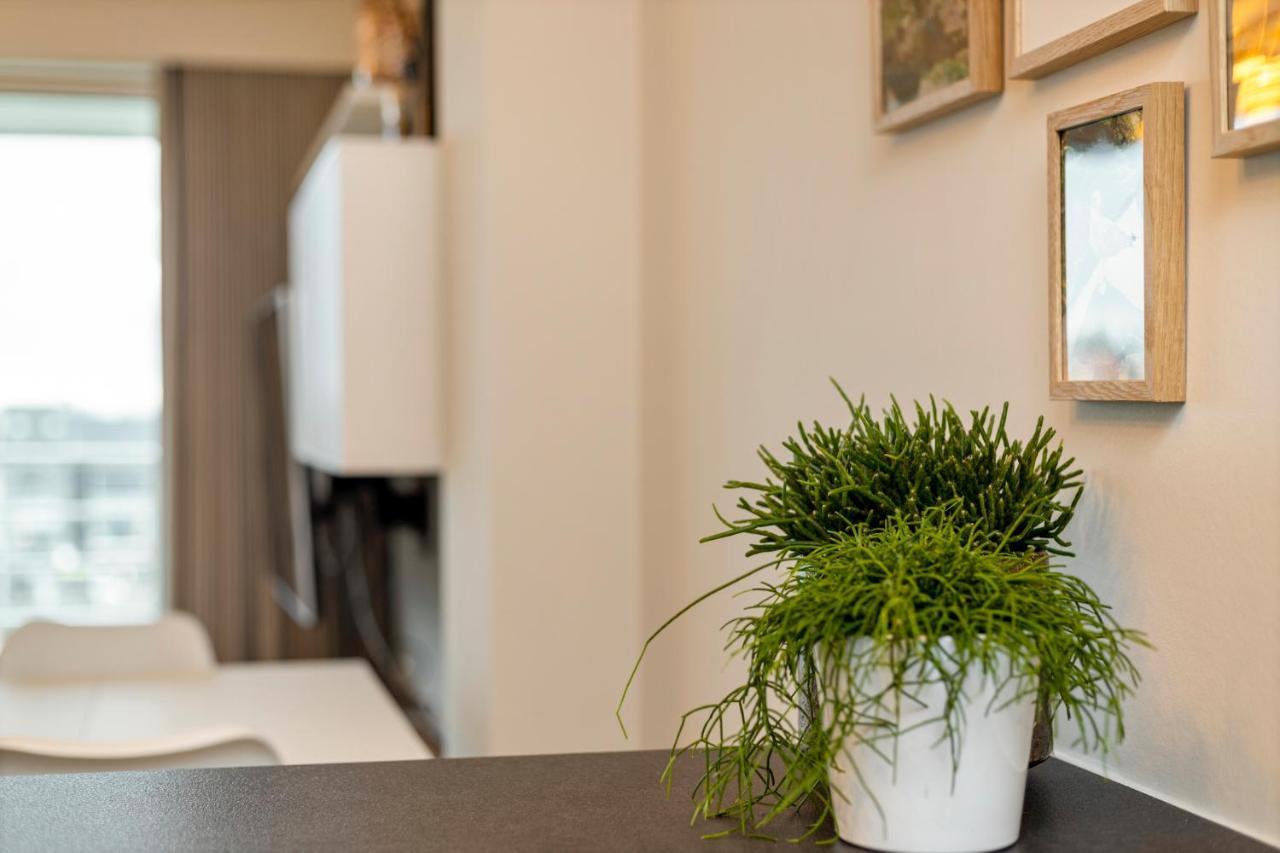 Ruim Appartement Aan De Jachthaven 布兰肯贝赫 外观 照片